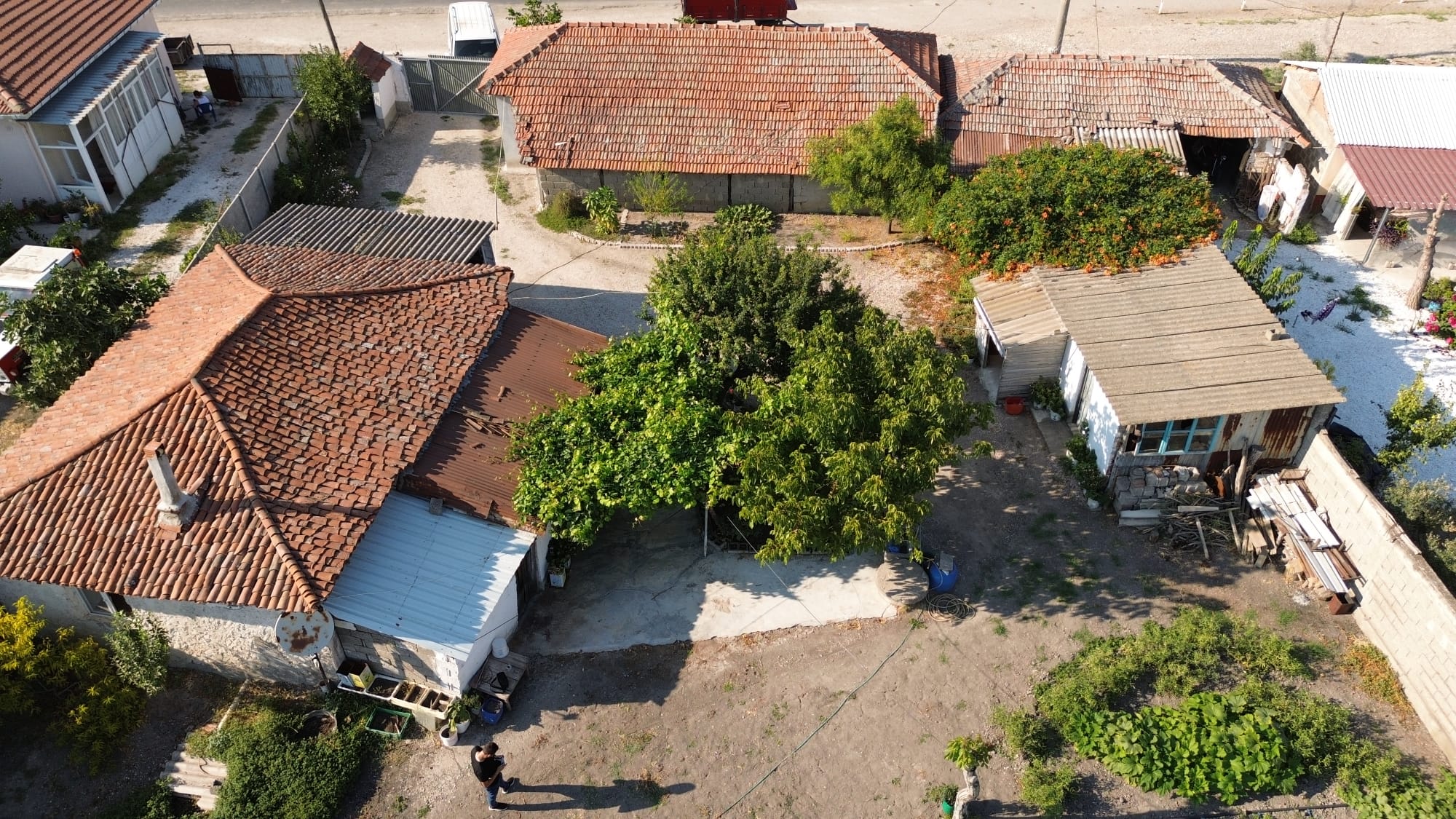 Se & As Gayrimenkul & Mimarlık Balıkesir Bandırma - Güvenilir Emlak Ofisi, Satılık ve Kiralık Daireler, Sahibinden ve Hepsiemlak İlanları, Profesyonel Mimarlık ve İnşaat Hizmetleri